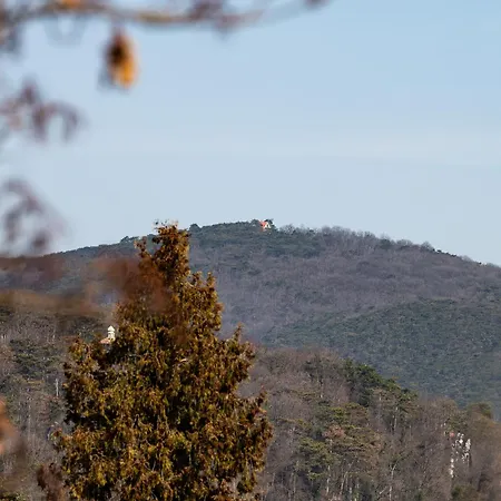 Apartment Wilson's Forestview Operated By Hostguides