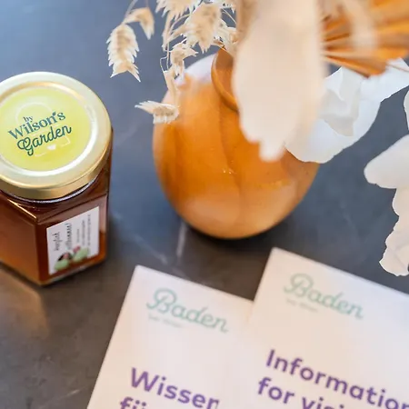 Wilson's Center Forestview Baden