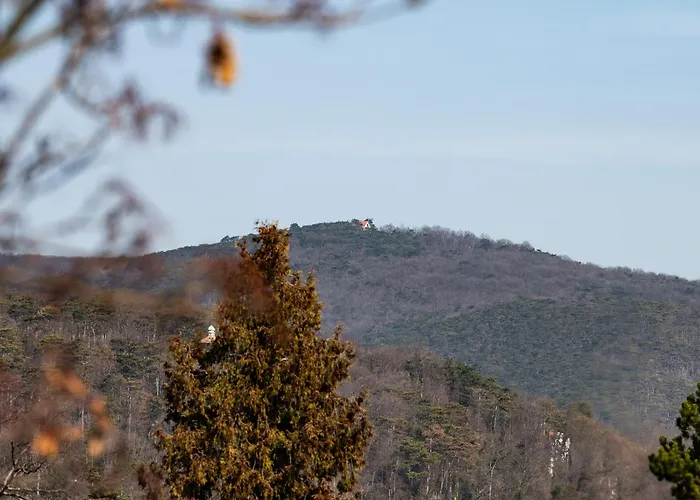 Apartment Wilson's Forestview Operated By Hostguides