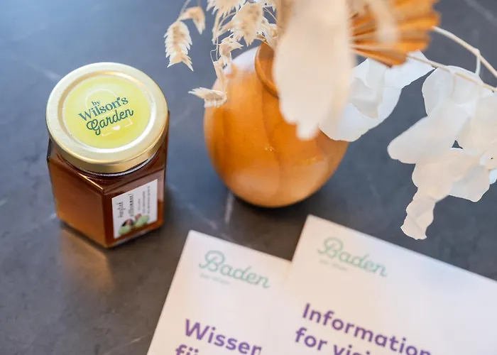 Wilson's Forestview Operated By Hostguides Baden